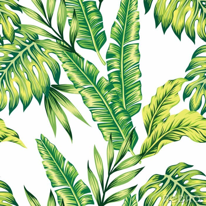 Poster Sappige aard van tropische vegetatie