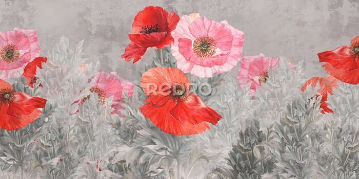 Poster Sappige rode papaver bloemen in een open plek