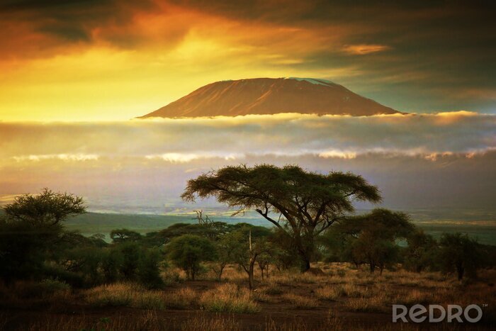 Poster Savanne en Kilimanjaro tussen de wolken