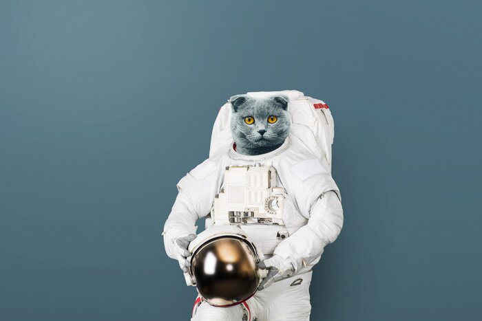 Poster Schattig poesje als astronaut
