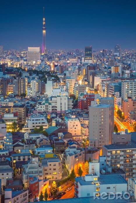 Poster Schemering valt over Tokio