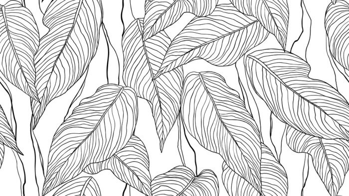 Poster Schets van bladeren die hun structuur laten zien