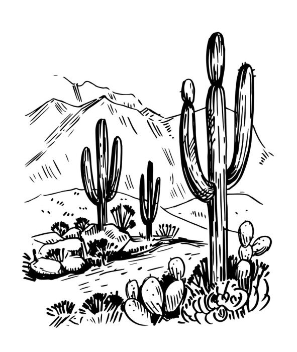 Poster Schets van de woestijn van Amerika