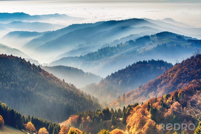 Poster Schilderachtig berglandschap. Uitzicht op het Zwarte Woud, Duitsland, bedekt met mist. Kleurrijke reisachtergrond.