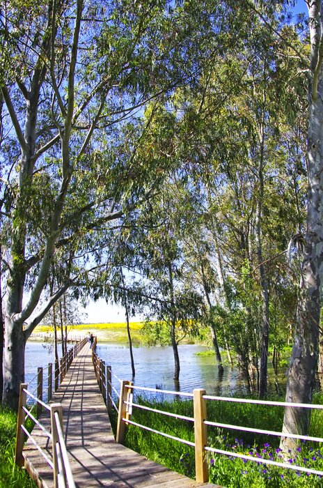 Poster Schilderachtig landschap van een Portugees meer