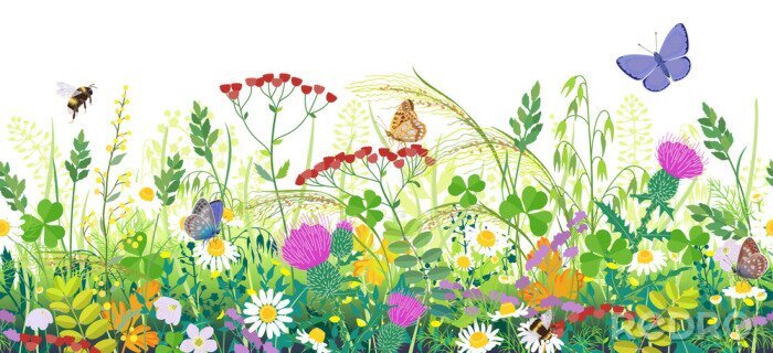 Poster Seamless Border with Summer Meadow Plants  and Insects
