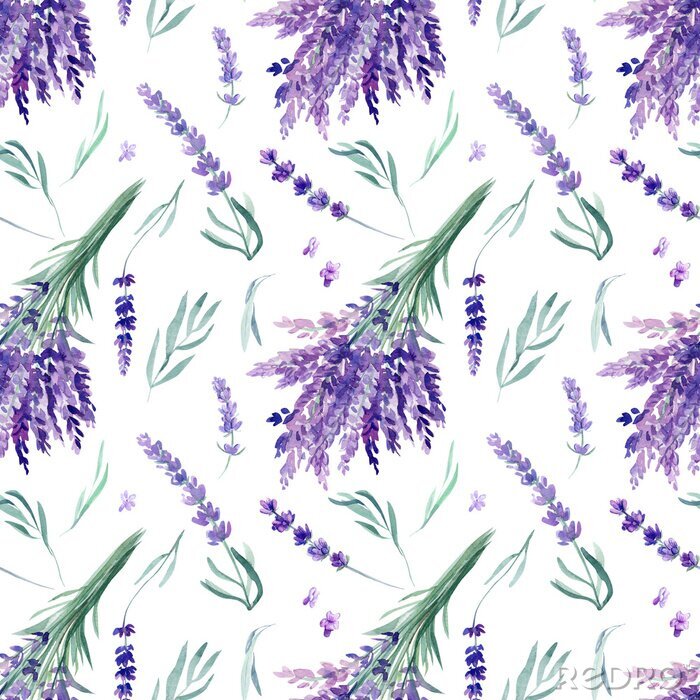 Poster seamless pattern, lavender watercolor on an isolated white background, hand drawing