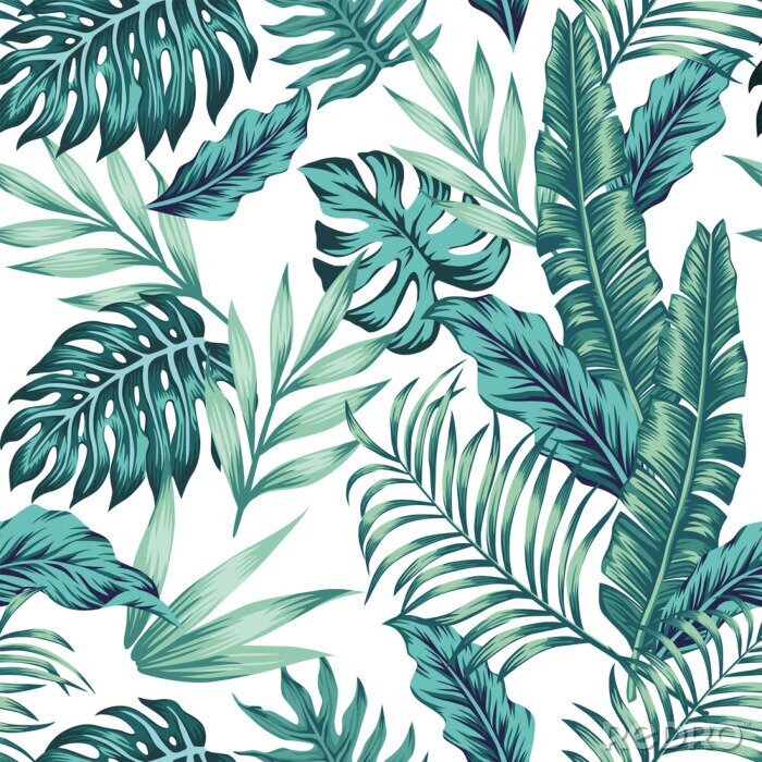 Poster Seamless pattern tropical composition white background