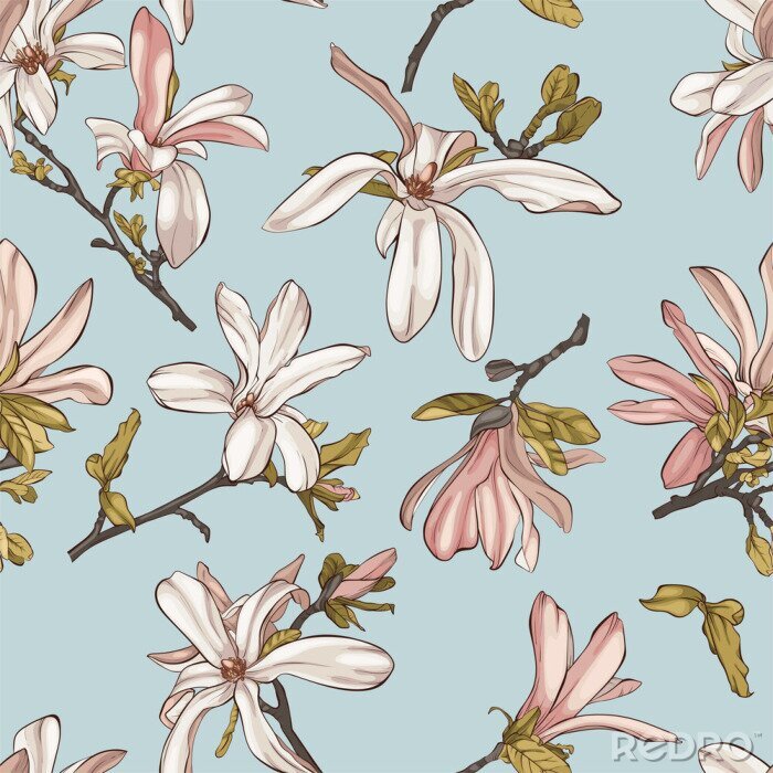 Poster Seamless pattern with  beautiful spring magnolia flowers
