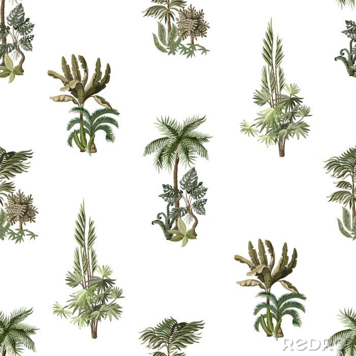Poster Seamless pattern with exotic trees such us palm, monstera and banana. Interior vintage wallpaper
