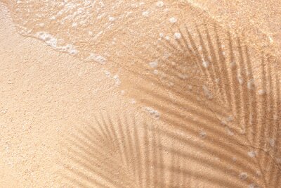 Poster Selective focus of summer and holiday backgrounds concepts with shadow of coconut leaf on clean sand beach