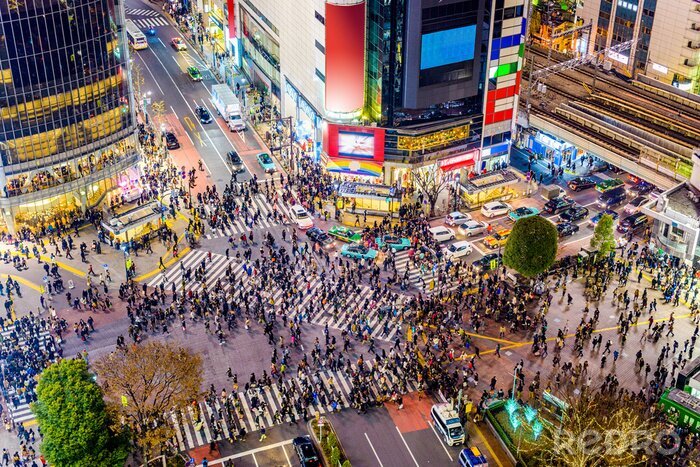 Poster Shibuya kruispunt in Tokio