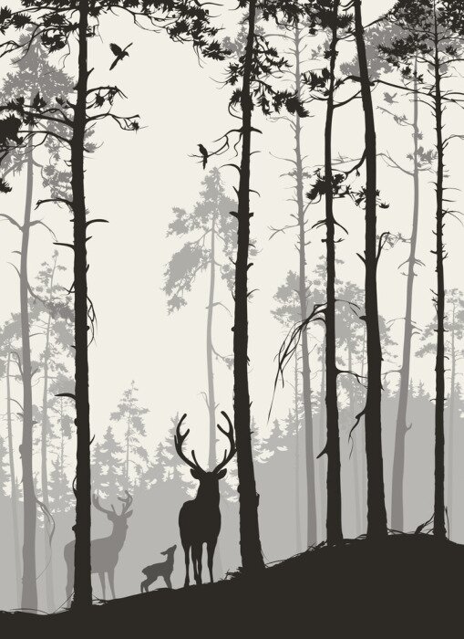 Poster Silhouetten van herten in het bos