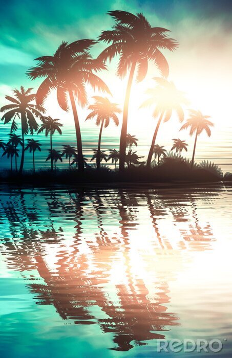 Poster Silhouetten van palmbomen