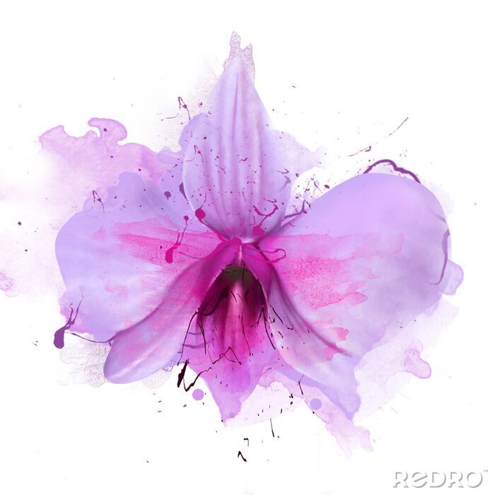 Poster Slaperige orchidee in paarse tinten