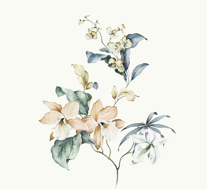 Poster Slaperige orchidee in wit met blauw blad