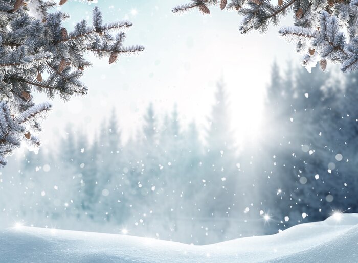 Poster Sneeuw die van boomtakken valt