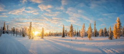 Sneeuw landschap bij zonsondergang, bevroren bomen in de winter in Saariselka, Lappland, Finland