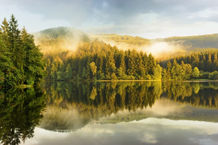 Poster Sösestausee in de mist