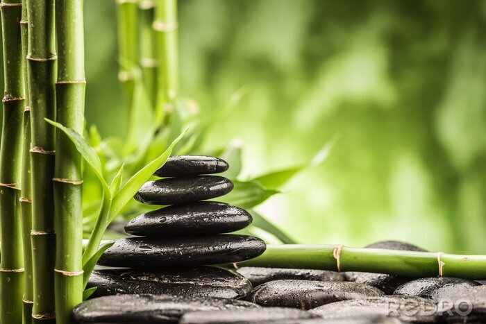 Poster Spa concept met zen basalt stenen en bamboe
