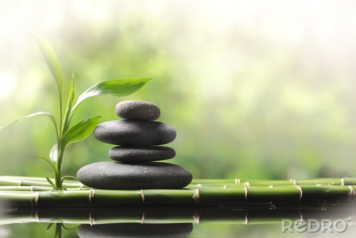 Poster Spa stilleven