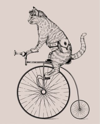 Poster Steampunk retro kat op een fiets