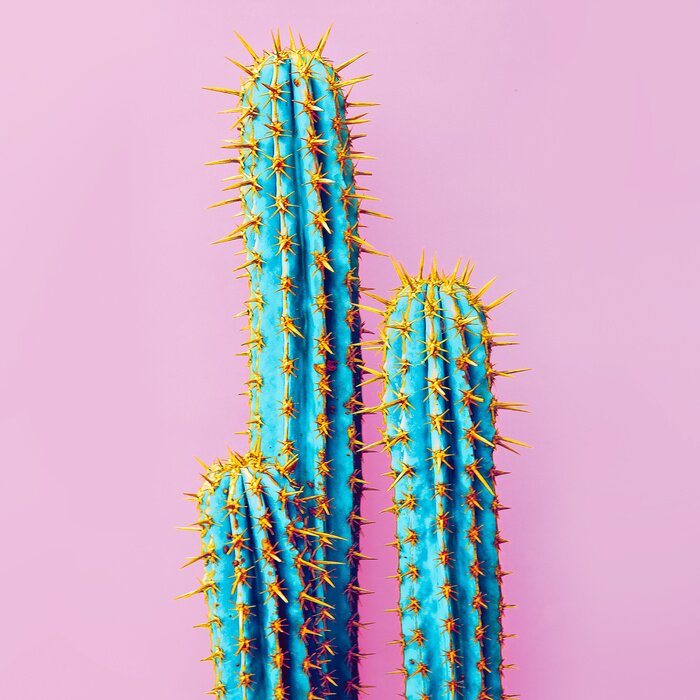 Poster Stel Neon Cactus. Minimal creatieve stillife
