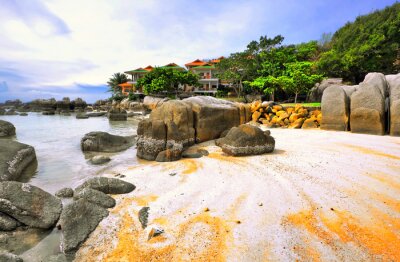 Poster Stenen en strand op een exotisch landschap