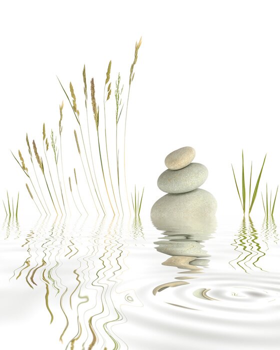 Poster Stenen en watergrassen op het meer