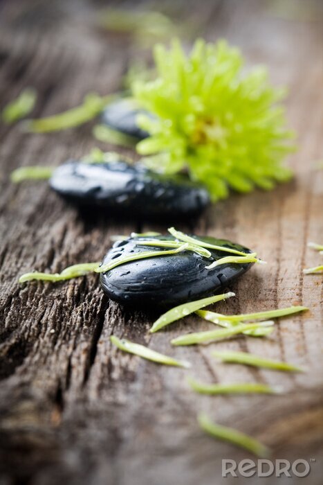 Poster Stenen met water druppels