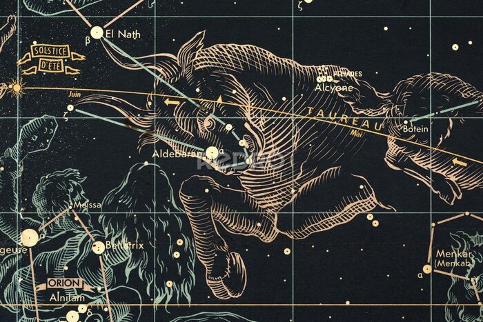 Poster Stier horoscoop sterren