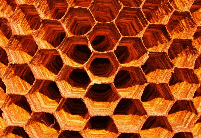 Poster Stilleven dat lijkt op een honingraat