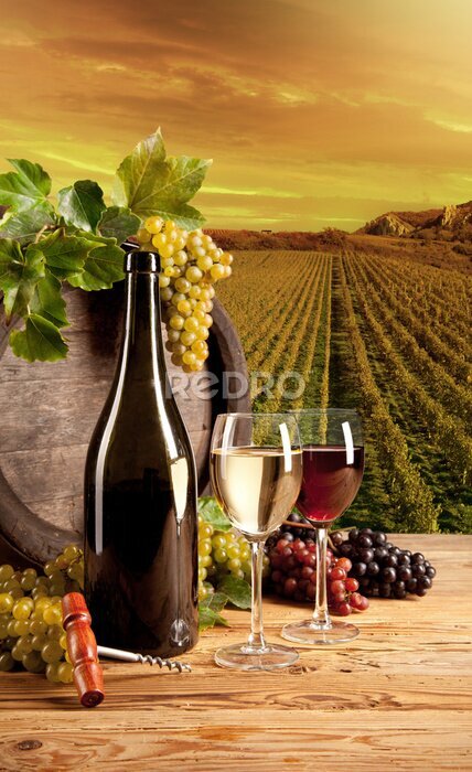 Poster Stilleven met een fles wijn tegen de achtergrond van een wijngaard.