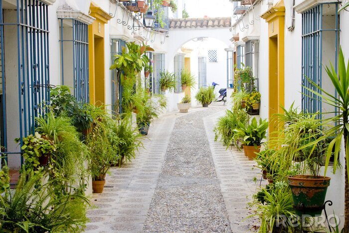 Poster straat van Cordoba, Andalusië, Spanje