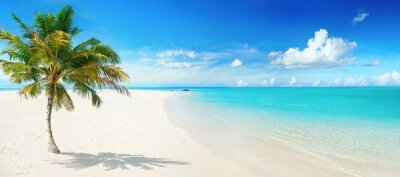 Strand met palmbomen en turquoise water