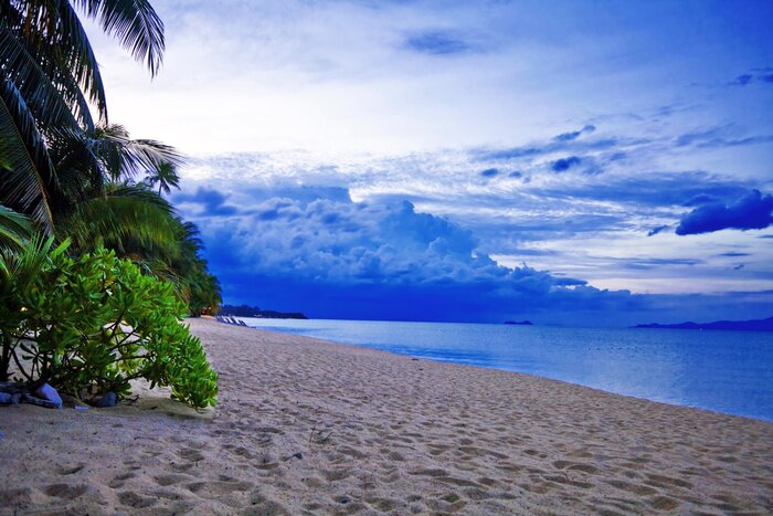 Poster Strandlandschap in het donker