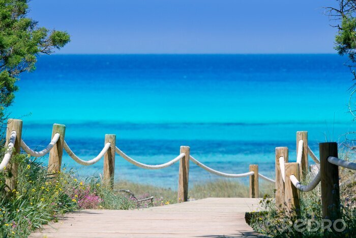 Poster Strandopgang en uitzicht op zee