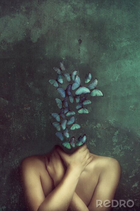 Poster Strange fine art concept. The body of a woman, her head is a butterflys