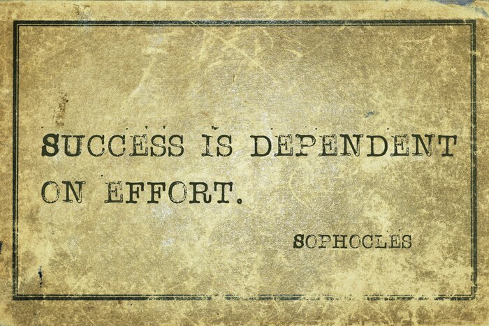 Poster Succesvolle zin