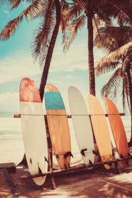 Poster Surfboard and palm tree on beach background.