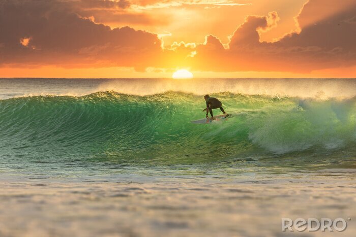 Poster Surfer Surfing at Sunrise