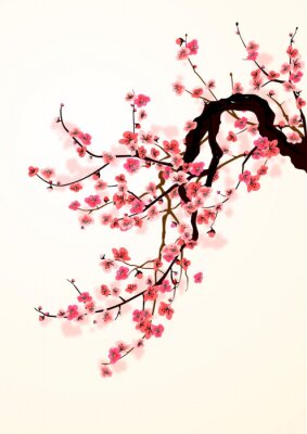 Poster Tak van een bloeiende Japanse kersenboom