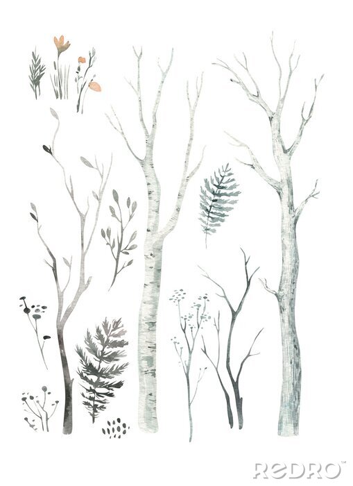 Poster Tekening van bosbomen met takken en bladeren