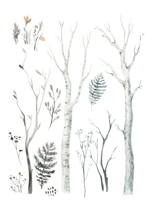 Poster Tekening van bosbomen met takken en bladeren