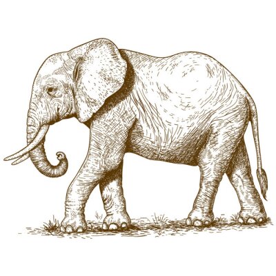 Tekening van een olifant in retrostijl