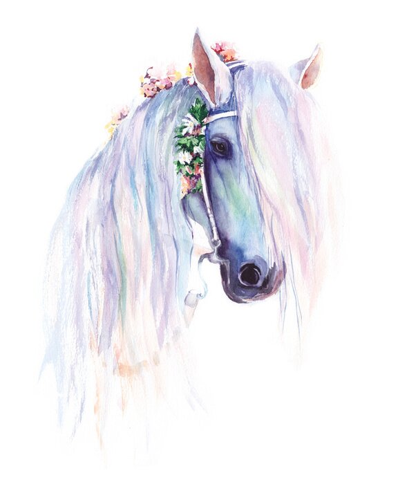 Poster Tekening van een wit paard in pastelkleuren