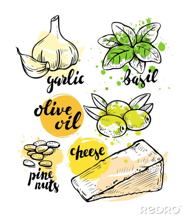 Poster Tekening van pesto-ingrediënten