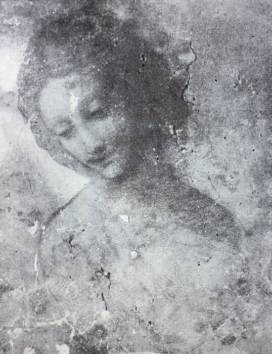 Poster The drawing of a head of Lead by Sodoma in the vintage book Leonardo da Vinci by A.L. Volynskiy, St. Petersburg, 1899