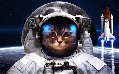 Poster Thema van de ruimte en de kat van de astronaut