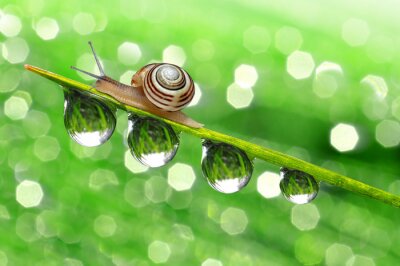 Thema van natuur voor kinderen